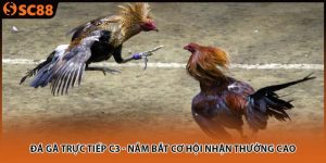 da ga truc tiep c3 nam bat co hoi nhan thuong cao