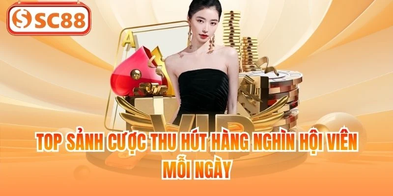 Top sảnh cược thu hút hàng nghìn hội viên mỗi ngày