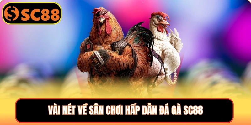 Vài nét về sân chơi hấp dẫn đá gà SC88