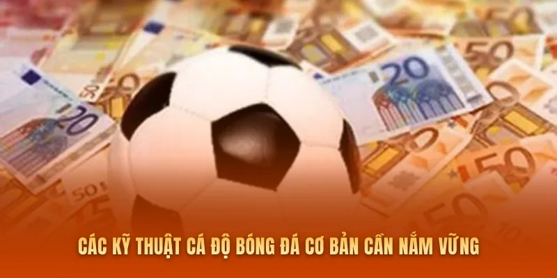 Các kỹ thuật cá độ bóng đá cơ bản cần nắm vững