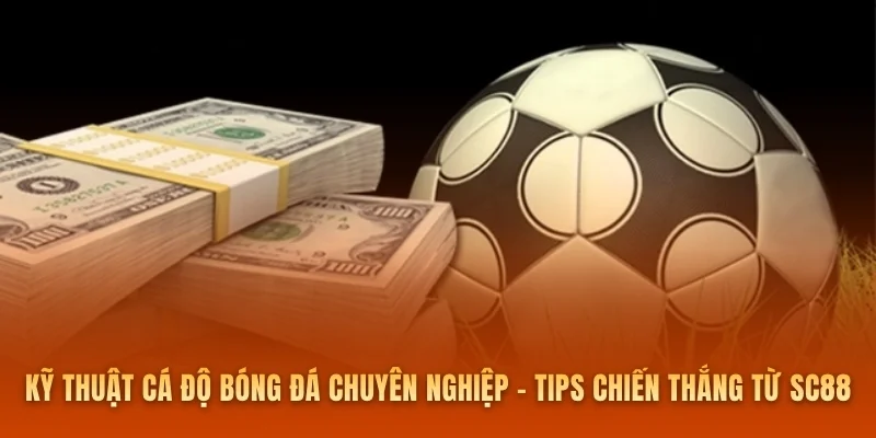 Kỹ Thuật Cá Độ Bóng Đá Chuyên Nghiệp - Tips Chiến Thắng Từ SC88