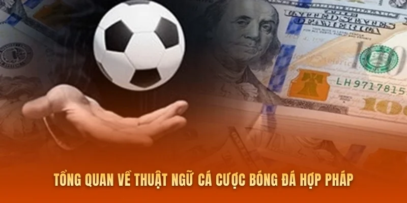 Tổng quan về thuật ngữ cá cược bóng đá hợp pháp