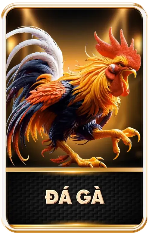 item đá gà